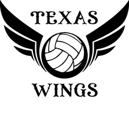 TEXAS WINGS logo