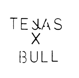 TEXAS X BULL logo