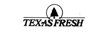 TEXASFRESH logo