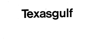 TEXASGULF logo