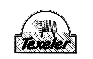 TEXELER logo