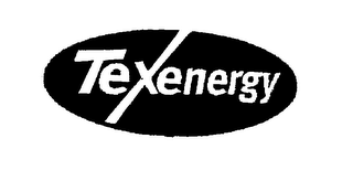 TEXENERGY logo