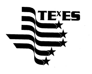 TEXES logo