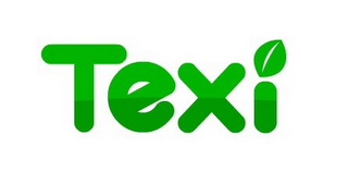 TEXI logo