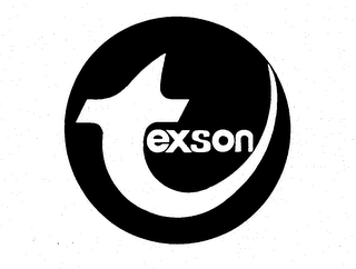TEXSON logo