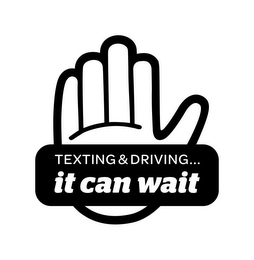 TEXTING & DRIVING...IT CAN WAIT logo