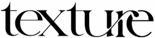 TEXTURE logo