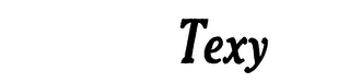 TEXY logo