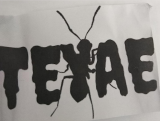 TEYAE logo