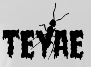 TEYAE logo