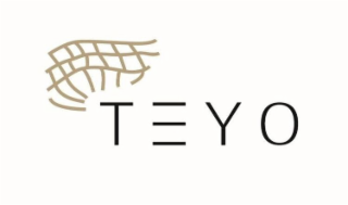 TEYO logo