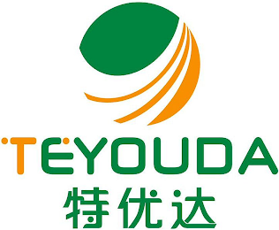 TEYOUDA logo