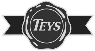 TEYS logo