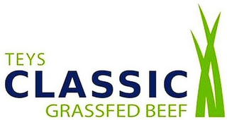 TEYS CLASSIC GRASSFED BEEF logo