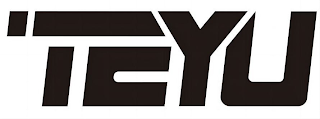 TEYU logo