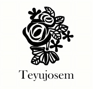 TEYUJOSEM logo