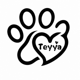TEYYA logo