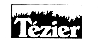 TEZIER logo