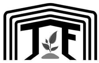 TF logo