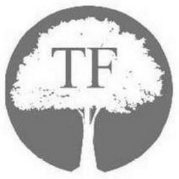 TF logo