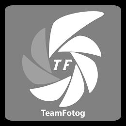 TF TEAMFOTOG logo