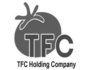 TFC TFC HOLDING COMPANY logo