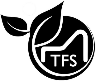 TFS logo