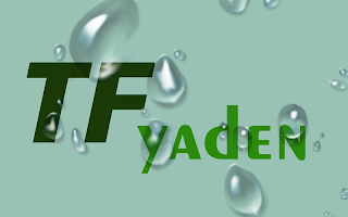 TFYADEN logo