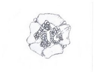TG logo