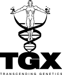 TGX TRANSCENDING GENETICS logo