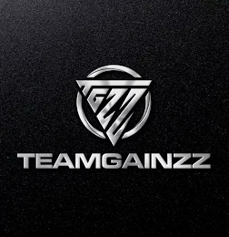 TGZZ TEAMGAINZZ logo