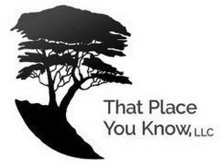 THAT PLACE YOU KNOW, LLC logo