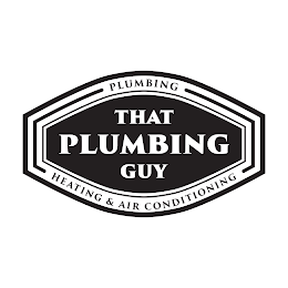 THAT PLUMBING GUY - PLUMBING HEATING & AIR CONDITIONING logo
