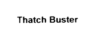 THATCH BUSTER logo