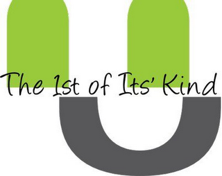 THE 1ST OF ITS' KIND logo