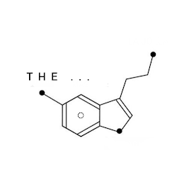 THE... logo