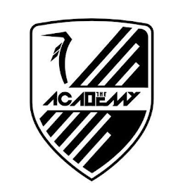 THE ACADEMY logo