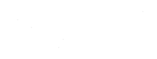 THE ADVANTAGE SYSTEM logo