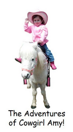 THE ADVENTURES OF COWGIRL AMY! logo