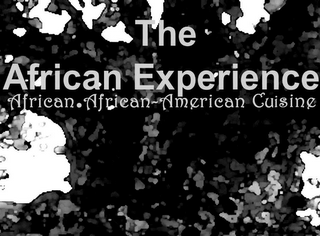 THE AFRICAN EXPERIENCE logo
