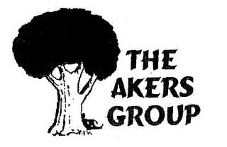 THE AKERS GROUP logo