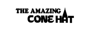 THE AMAZING CONE HAT logo