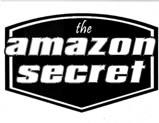 THE AMAZON SECRET logo