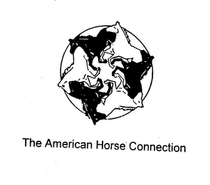 THE AMERICAN HORSE CONNECTION logo