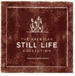 THE AMERICAN STILL LIFE COLLECTION logo
