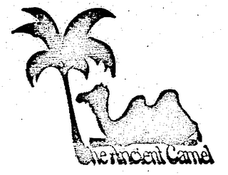 THE ANCIENT CAMEL logo