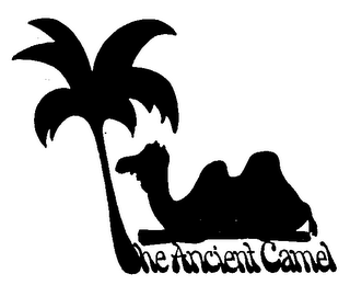 THE ANCIENT CAMEL logo