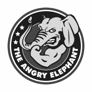 THE ANGRY ELEPHANT logo