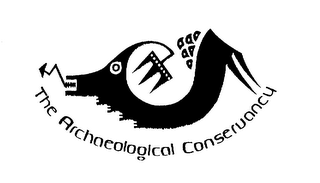 THE ARCHAEOLOGICAL CONSERVANCY logo