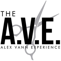 THE A.V.E. ALEX VANN EXPERIENCE logo